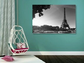 Εικόνα του φθινοπωρινού Παρισιού σε ασπρόμαυρο - 90x60