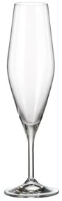 Ποτήρι Σαμπάνιας 210ml Gavia - Crystal Bohemia - 6 ΤΜΧ