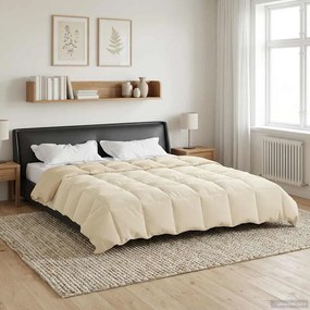vidaXL Κουβέρτα ολόκληρου του χρόνου 220 x 260 cm