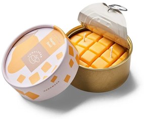 Αρωματικό Φυτικό Κερί Γκουρμέ Σε Κονσέρβα Mango Candle Hand Vegetable Candle