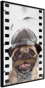 Αφίσα - Dressed Up Pug - 40x60 - Μαύρο - Χωρίς πασπαρτού