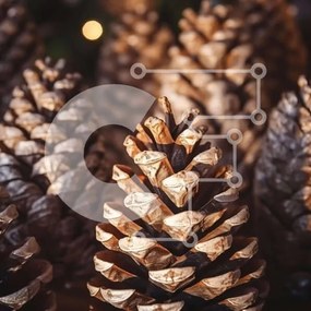 Intra Συλλεκτικό Ξύλινο Παζλ Plywood  4mm - Ομάδα κουκουνάρια για εορταστική διακόσμηση Σε Ξύλινο Κουτί - Διαστάσεις: 10x10 cm – 25 κομμάτια