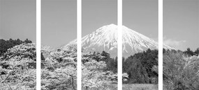 Εικόνα 5 τμημάτων hora Fuji σε ασπρόμαυρο