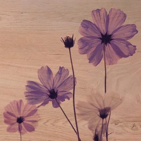 Violet Flower πίνακας διακόσμησης 29 x 29 x 0,60 εκ (21362) - MDF - 21362