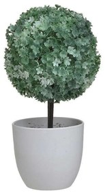 Διακοσμητικό Φυτό Σε Γλαστράκι 3-85-311-0007 Φ12x25cm Green-White Inart Πλαστικό