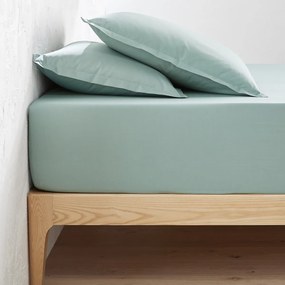 Σεντόνι με λάστιχο από βαμβακερό περκάλι με γύρισμα 40 εκ., Scénario