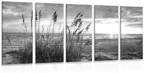 Εικόνα 5 μερών ενός ηλιοβασιλέματος στην παραλία σε ασπρόμαυρο - 100x50