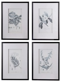 Artekko Botanical Πίνακας με Κορνίζα Πλαστικό Γυαλί Μαύρο Λευκό (50x3x70)cm Σετ/4 Artekko AV43782