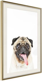 Αφίσα - Funny Pug - 20x30 - Χρυσό - Με πασπαρτού