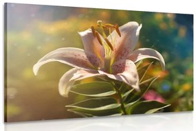 Εικόνα όμορφο λουλούδι με ρετρό χροιά - 90x60