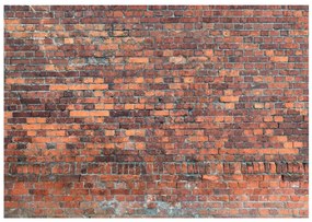 Φωτοταπετσαρία - Vintage Wall (Red Brick) 350x245