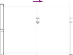 vidaXL Ανακλινόμενος Πλευρικός Απλώστρα 120 x 300 cm