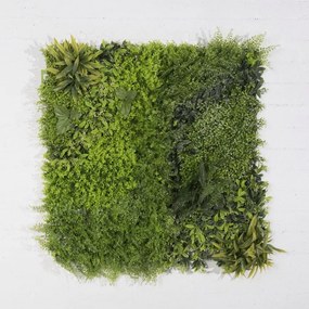 Supergreens Τεχνητή Φυλλωσιά Φτέρη με Baby Tooth Moss 100x100 εκ