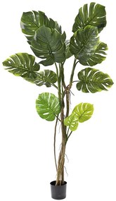 Φυτό Μονστερά 80887 165cm Green Πλαστικό