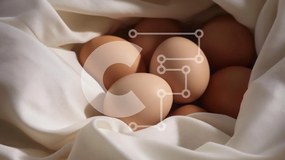 Σετ των 2 Intra Συλλεκτικό Ξύλινο Παζλ Plywood 4mm - Φρέσκα αυγά σε λευκό ύφασμα Σε Ξύλινο Κουτί - Διαστάσεις: 10x10 cm – 25 κομμάτια