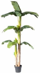 Τεχνητό Δέντρο Μπανανιά 0190-6 200cm Green Supergreens Πολυαιθυλένιο