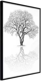 Αφίσα - Roots or Treetop? - 20x30 - Μαύρο - Χωρίς πασπαρτού