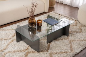 Τραπεζάκι Σαλονιού Ανθρακί FLAVIO 105x65x30