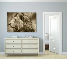 Εικόνα ενός αφρικανικού λιονταριού στη σέπια