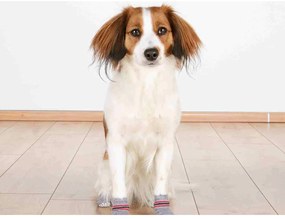 Κάλτσες Trixie Γκρι M/L Σκύλος