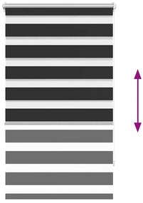 Ρόλερ Zebra Μαύρο 90 x 150cm