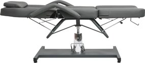 vidaXL Κρεβάτι - Πολυθρόνα Αισθητικής Γκρι 180 x 62 x (87-112) εκ.