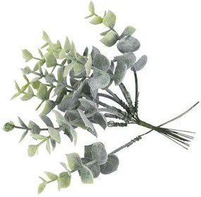 Beauty Home ΤΕΧΝHΤΑ ΚΛΑΔΑΚΙΑ ΕΥΚΑΛΥΠΤΟΥ 17 CM