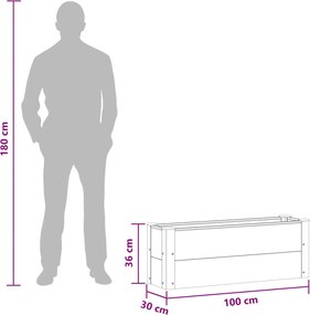 vidaXL Υπερυψωμένη Ζαρντινιέρα Μαύρο 100 x 30 x 36 cm