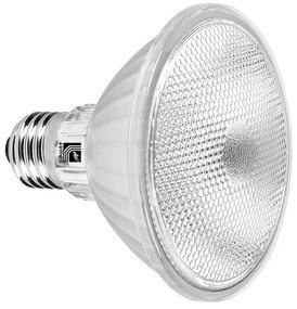 Adeleq Led Λάμπα Γυάλινη Par30 E27 10W 230V 45° 6200Κ Ψυχρό 13-3010450