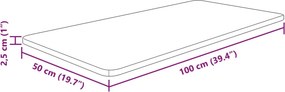 vidaXL Πάγκος Μπάνιου Σκ. Καφέ 100 x 50 x 2,5 εκ. Επεξ. Μασίφ Ξύλο