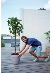 Βάζο Λουλουδιών Elho