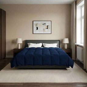 VidaXL Κουβέρτα ολόκληρου του χρόνου 220 x 240 cm