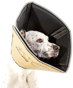 All Four Paws Κώνος/Κολάρο Ανάρρωσης Comfy Cone M 20 εκ. Ταμπά