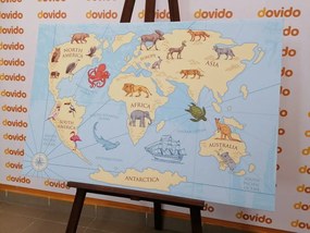 Εικόνα στον παγκόσμιο χάρτη φελλού με τα ζώα - 90x60  place