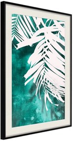 Αφίσα - White Palm on Teal Background - 20x30 - Μαύρο - Με πασπαρτού