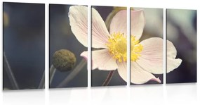 5 μέρη εικόνας ευθραυστότητας ενός λουλουδιού - 100x50