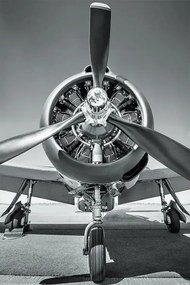 Αφίσα Plane - Propeller, (61 x 91.5 cm)