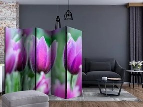 Διαχωριστικό με 5 τμήματα - Purple spring tulips II [Room Dividers]