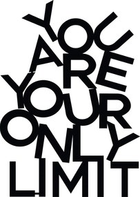 Decorative Metal Wall Accessory Limit Black