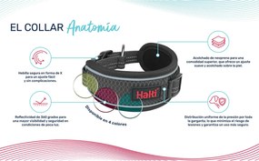 Κολλάρο Σκύλου Company of Animals Γκρι