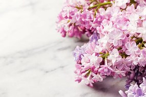 Εικόνα όμορφα λουλούδια σε μαρμάρινο φόντο - 120x80