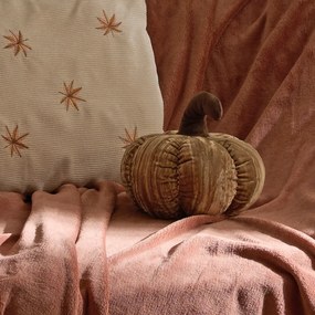 Διακοσμητικό Μαξιλάρι Βελουτέ (Φ22) A-S Automne 223324 Moka