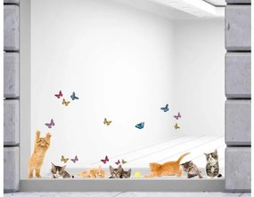 Αυτοκόλλητα βινυλίου για τζάμι Γάτες M Cats 64001 Ango Dalber-64001-Πολύχρωμο 64001
