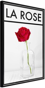 Αφίσα - Rose in the Vase - 40x60 - Μαύρο - Χωρίς πασπαρτού