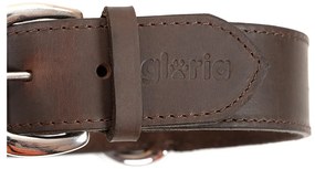 Κολλάρο Σκύλου Gloria Καφέ 75 cm (75 x 4 cm)