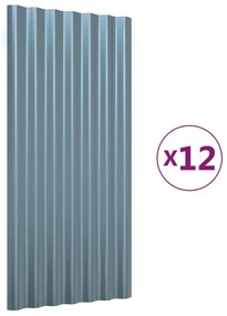 vidaXL Πάνελ Οροφής 12 τεμ. Γκρι 80 x 36 εκ. Γαλβανισμένος χάλυβας