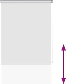 vidaXL Κουρτίνα Μπάνιου Ρολό Λευκή 100 x 240 εκ.