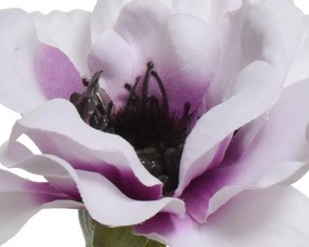 Beauty Home ΑΝΕΜΩΝΗ 57 CM