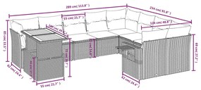 vidaXL Σετ Καναπέ Κήπου 10 τεμ. Μπεζ Συνθετικό Ρατάν με Μαξιλάρια