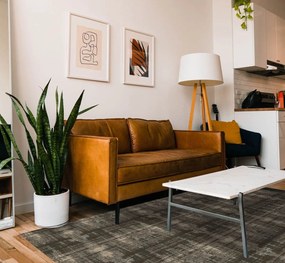 Ταπέτο  Αλέκιαστο-Αντιολισθητικό 75x120 Μαρόν Viopros